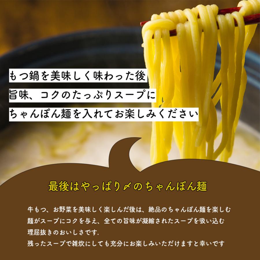 もつ鍋セット 500g ミックスホルモン 送料無料 お取り寄せ モツ鍋 ギフト プレゼント 贈り物 誕生日 お祝い 内祝い 2023 冬