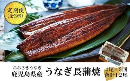 おおさきうなぎ鹿児島県産うなぎ長蒲焼4尾（全3回）合計12尾