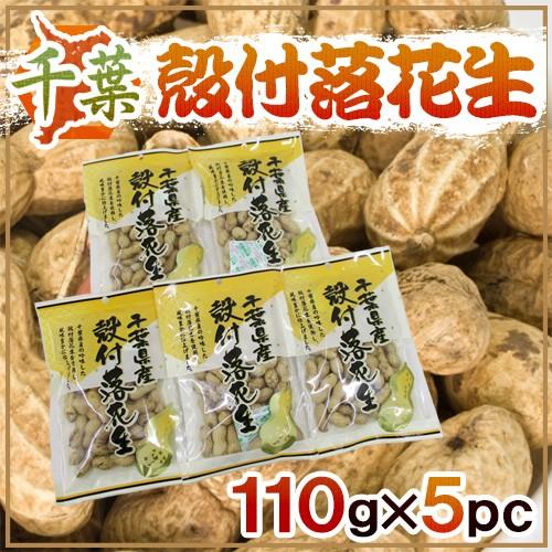 千葉産 ”殻付落花生” 110g×5袋 国産 ピーナッツ 送料無料