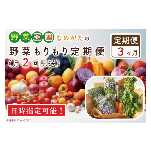 ふるさと納税 茨城県 行方市 CU-140　野菜王国なめがたの野菜もりもり定期便（月２回発送）