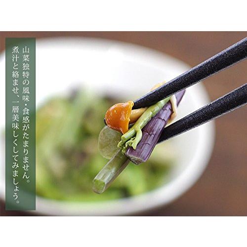 山菜ミックス 80g×6袋 (みず・わらび・えのき・たけのこ・なめこが入った水煮) (芽ばえの里)山菜独特の食感と風味がたまらない国産水煮。