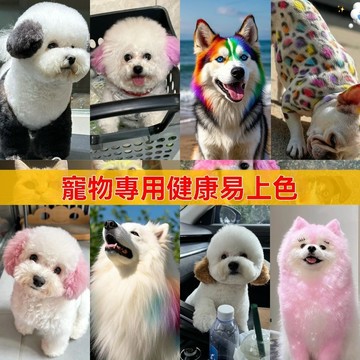 【兩瓶裝】寵物染髮劑 寵物狗狗專用染毛膏 美髮膏 橙色健康安全小狗染頭髮膏劑