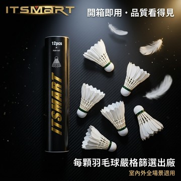 耐打 羽毛球 練習球 訓練球 羽球筒 軟木球頭 好打省力 抗風 運動用品 3入 6入 12入 體育 運動 學校系隊 訓練