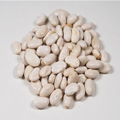 グレートノーザンビーンズ (インゲン豆の仲間) 500g アリサン Great Northern Beans