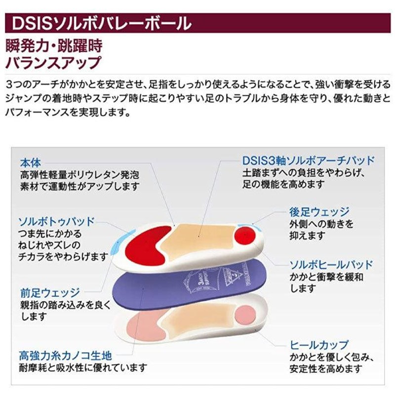 通販でクリスマス DSISソルボバレーボール 9ZA760 バレーボール