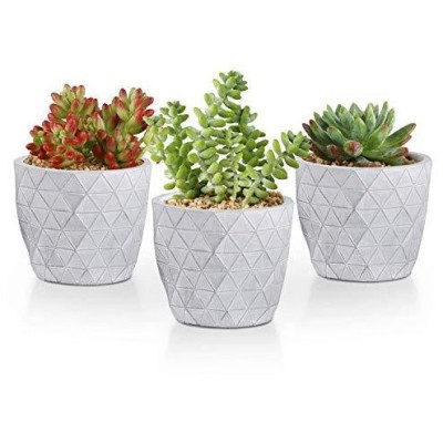 セメント製 おしゃれ プランターの通販 18件の検索結果 Lineショッピング