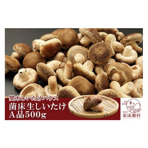 ふるさと納税 秋田県 東成瀬村 菌床生しいたけ（A品）500g 椎茸