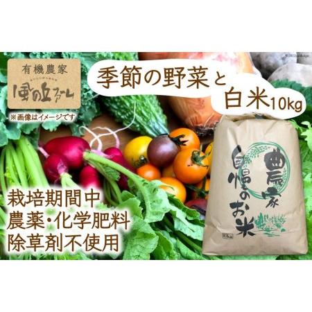 ふるさと納税 有機農家の季節の野菜と白米10kgのセット   風の丘ファーム   埼玉県 小川町 [020] 野菜 やさい .. 埼玉県小川町