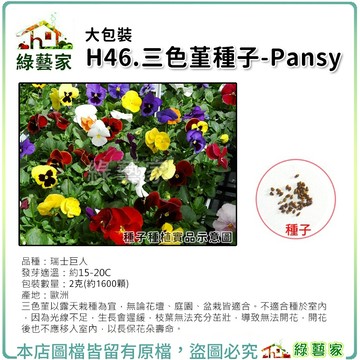 【綠藝家】大包裝H46.三色堇種子2克(約1600顆)花卉種子