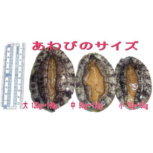 活蝦夷あわび　大　1ｋｇ（８個）　養殖