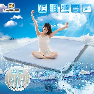 AIR Fit冰晶護脊涼感組 電視購物熱銷 空氣床墊空氣床墊涼墊涼蓆透氣涼感可水洗AIRFit【日本旭川】