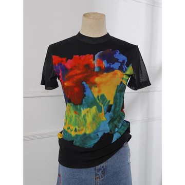 半高領短袖t恤女獨特別致小衫2025夏季修身印花半袖網紗立領上衣