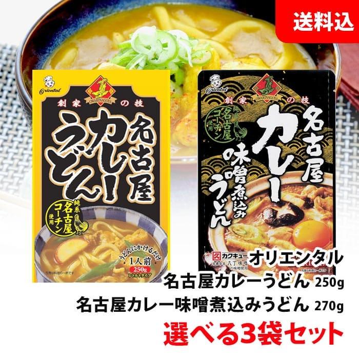 送料無料 メール便 カレーうどん 選べる3食セット 名古屋コーチン   カレー味噌煮込みうどん レトルト カレーうどんの素 カレーソース オリエンタル