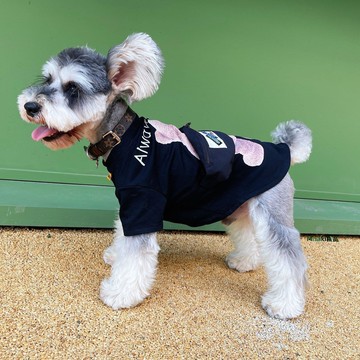 寵物衣服立體小熊狗狗薄款透氣T恤雪納瑞泰迪比熊柴犬法斗春夏季寵物衣服超夯 正品 現貨-Misaki精品