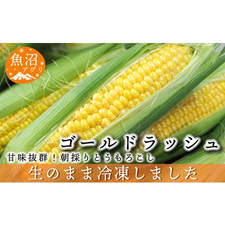 ふるさと納税 魚沼産 冷凍生とうもろこしと冷凍粒とうもろこしのセット 新潟県魚沼市