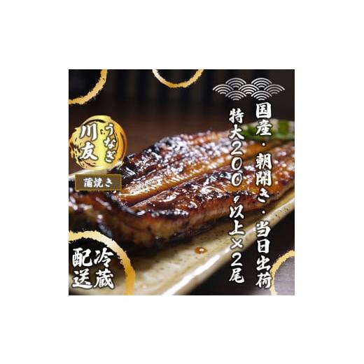 ふるさと納税 佐賀県 みやき町 AK003 朝開き国産うなぎ 当日発送２尾（1尾あたり約200〜230ｇ） 蒲焼き（タレ付）国産鰻 ウナギ 土用丑の日