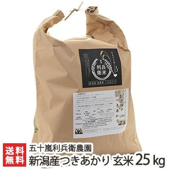 減農薬・減化学肥料 新潟産 炊き上がりが楽しみになる つきあかり玄米25kg 五十嵐利兵衛農園 送料無料