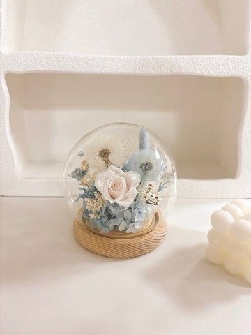 【泡泡糖永生花夜燈玻璃罩】-圓形系列 蒲公英