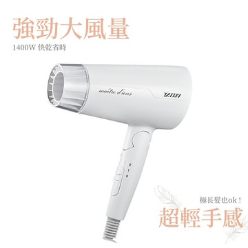 [家速配]達新牌FD-180國際雙壓負離子折疊吹風機