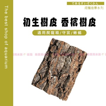魚寶貝【香檳樹皮🍀初生樹皮】園藝造景 爬寵造景 背景板 爬蟲居家 真樹皮 微景觀  蜘蛛 守宮 蜥蜴 兩棲 昆蟲 居家