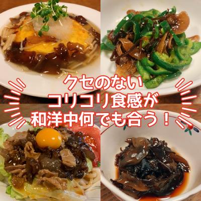 乾燥きくらげ 国産 天日干し 乳酸菌で育てた 美人木耳 兵庫県養父市産 18g びじんきくらげ