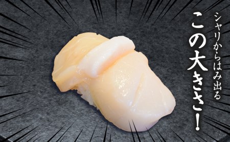 ほたて 貝柱 冷凍 大粒 冷凍 500ｇ(20～25粒前後)×2パック お取り寄せ 刺身 《横田水産》