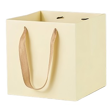 Maket Gamseong 彩色寬版正方形購物袋 (大)  淺褐色  4個