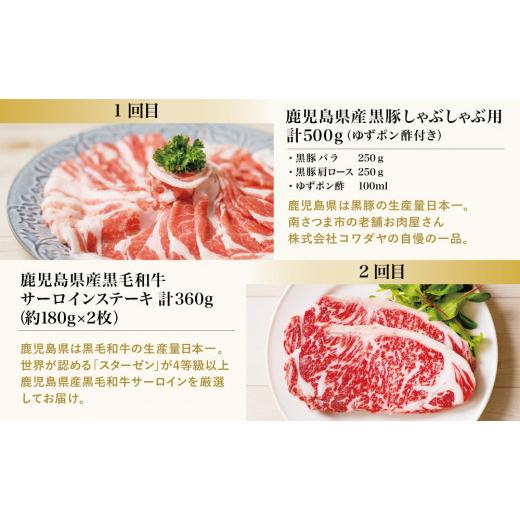 ふるさと納税 鹿児島県 南さつま市 畜産王国 鹿児島の厳選 お肉 4種（全4回）