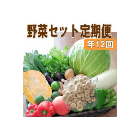 ふるさと納税 定期便 旬の新鮮野菜セットAたっぷり15品以上 和歌山県御坊市