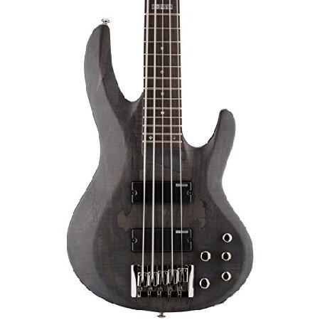 ESP LTD B-205SM Spalted Maple Bass Guitar, See Thru Black Satin