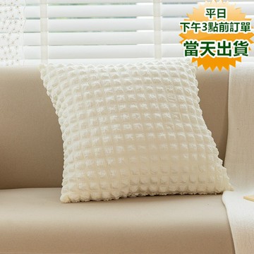 【隔日到貨 現貨】泡泡紗抱枕套 高彈力針織  柔軟親膚 可水洗 快速出貨 寶來小舖