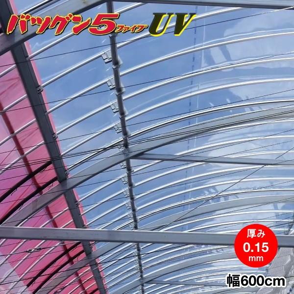 高機能農業用塗布型POフィルム　バツグン5 UV　厚さ0.15mm×幅600cm　ご希望の長さ(m)を数量で入力してください