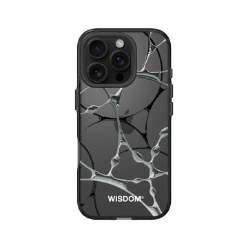 iPhone 16 Pro Clear 酷墨灰 - WISDOM - SILK
