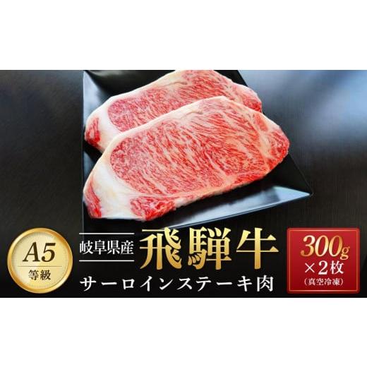 ふるさと納税 岐阜県 大野町 飛騨牛 A5 サーロイン ステーキ用 600ｇ（300g×2枚）｜国産 肉 牛肉 焼肉 ステーキ 和牛 黒毛和…