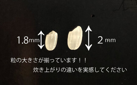 AJ-6　令和５年度米　コシヒカリ　1.8kg（450ｇ×4個）