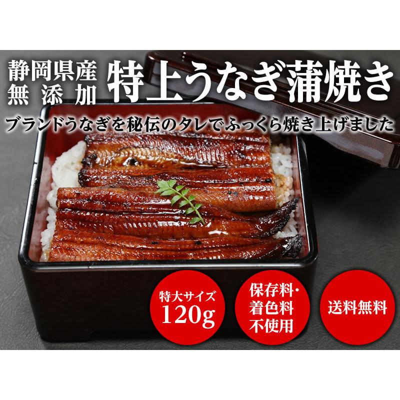 静岡県産無添加うなぎ長蒲焼き 2尾（120g×2）