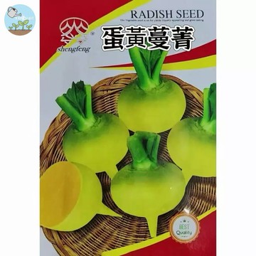 【原廠包裝】蛋黃蔓菁種子（Egg Yellow Radish）2克裝時蔬黃金蕪菁 生吃沙拉涼拌 清脆無辛辣 陽台盆栽可種