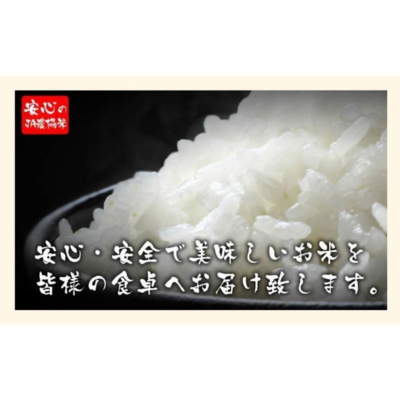 令和５年産新米 コシヒカリ 5kg 玄米 特Ａ地区 魚沼産 特別栽培米 新潟県 中魚沼 JA津南町農協 産地限定 雪美人 送料無料