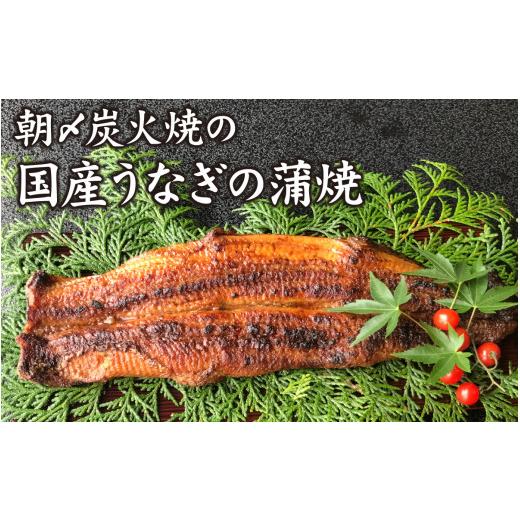 ふるさと納税 福井県 福井市 成田屋 炭火焼うなぎ蒲焼 1尾 [A-028004]