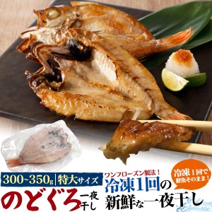 のどぐろ 特大サイズ 300～350ｇ 一夜干し 1枚 新鮮 冷凍1回 ワンフローズン製法 山陰浜田直送 干物 1匹 高級魚 送料無料 冷凍配送 贈物