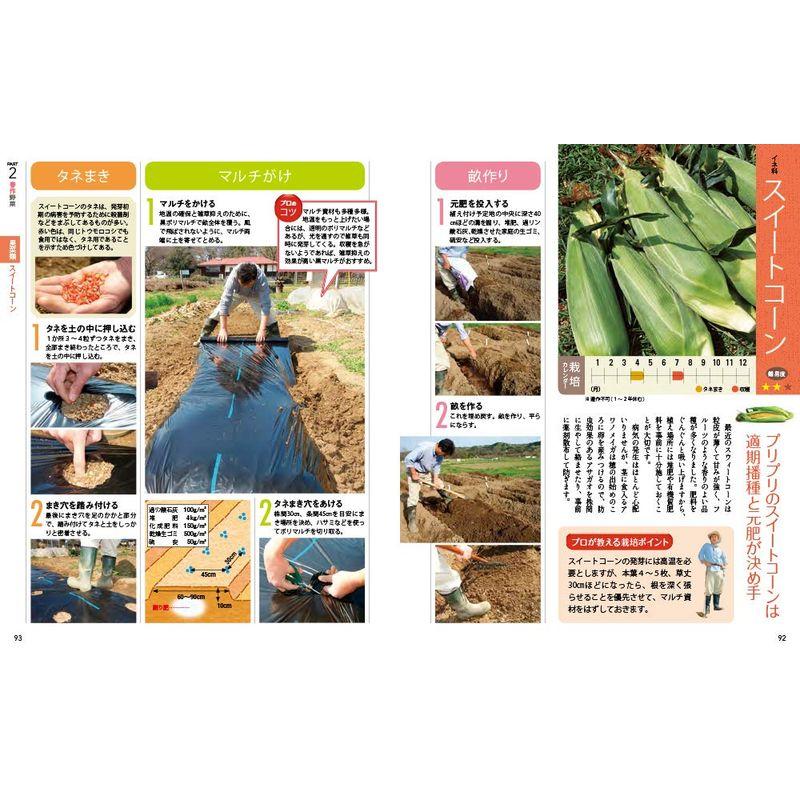 プロが教えるはじめての野菜づくり DVD60分付き DVD60