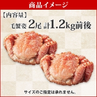 1217. 毛蟹 2尾 計1.2kg前後 食べ方ガイド・専用ハサミ付 カニ かに 蟹 海鮮 ボイル 送料無料 北海道 弟子屈町