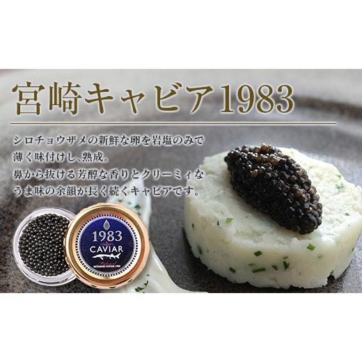 ふるさと納税 宮崎県 日南市 ≪数量限定≫キャビア3種食べ比べセット(合計60g) NF1-21