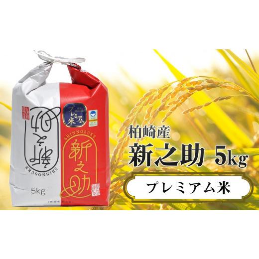 ふるさと納税 新潟県 柏崎市 令和5年産新米甘味の強いプレミアム米 新潟県認証特別栽培米 新之助 無洗米 5kg×12回（計 60kg）[U062]