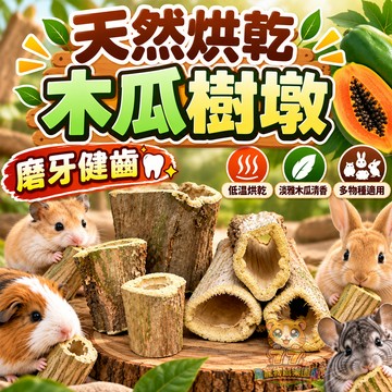 【77寵物】天然木瓜樹墩 小動物磨牙木 低溫烘乾 木瓜樹幹 倉鼠磨牙 造景啃咬玩具 兔子天竺鼠龍貓 約10cm