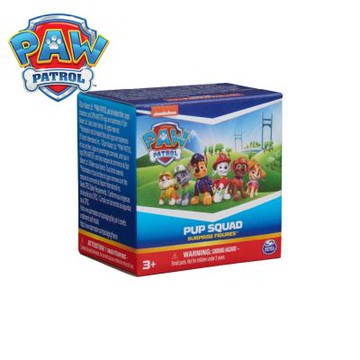 PAW Patrol 汪汪隊立大功-迷你口袋人物盲盒(款式隨機出貨) _SUNUP