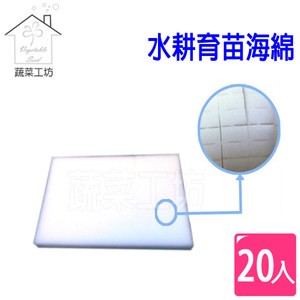 水耕育苗海綿.泡綿(1片內切96塊)水耕海棉.泡棉 20片/組
