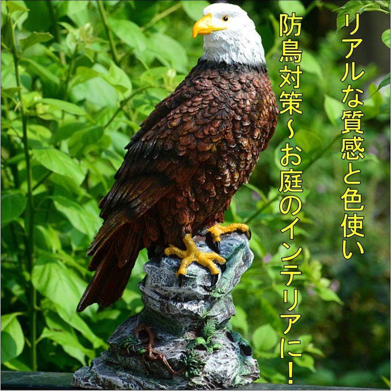 STTS 猛禽類最強 鷲 ワシ 防鳥 害鳥 庭の装飾 置物 オブジェ カラス 野鳥 ハト スズメ 鳥よけ 鳥 とり 対策