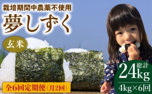 栽培期間中農薬不使用 令和5年産 新米 玄米 夢しずく 4kg [HCA011]