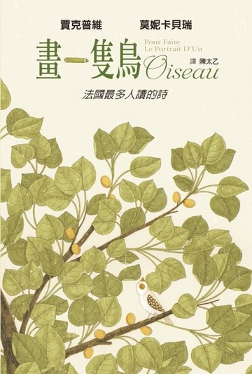 畫一隻鳥[二手書_良好]
